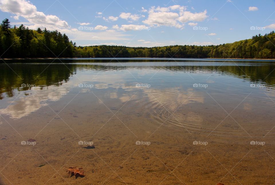 Walden pond
