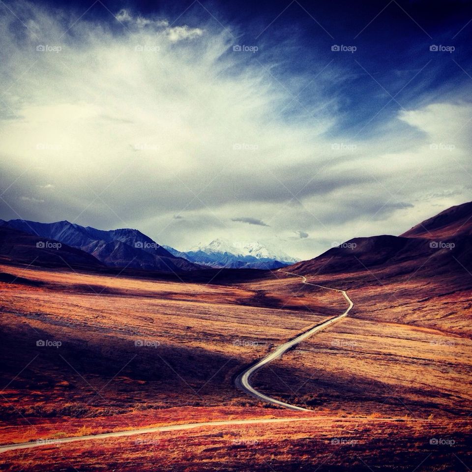 Road to Denali