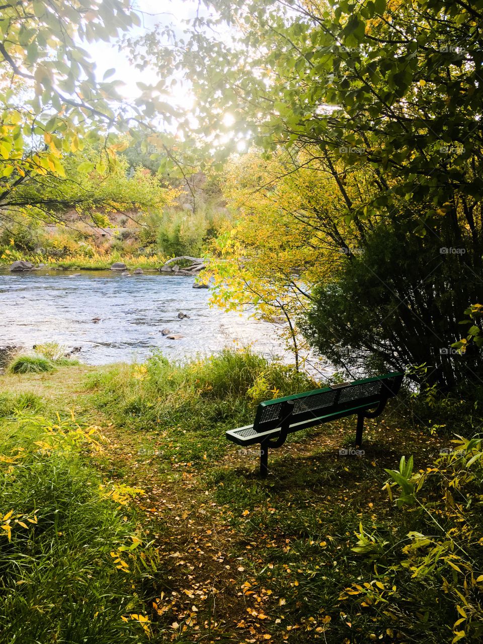 Bench by the river