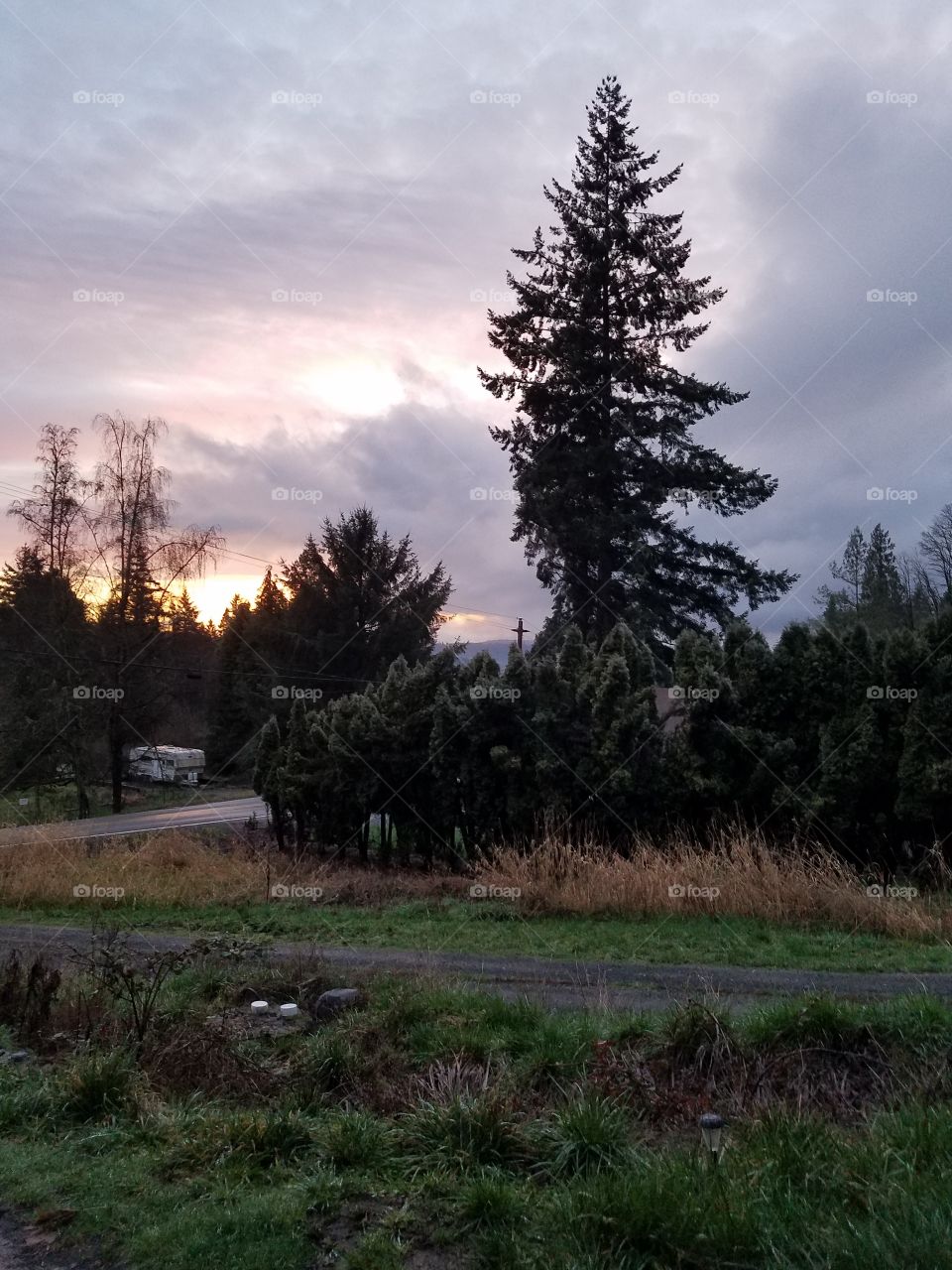 Sunset pacific northwest