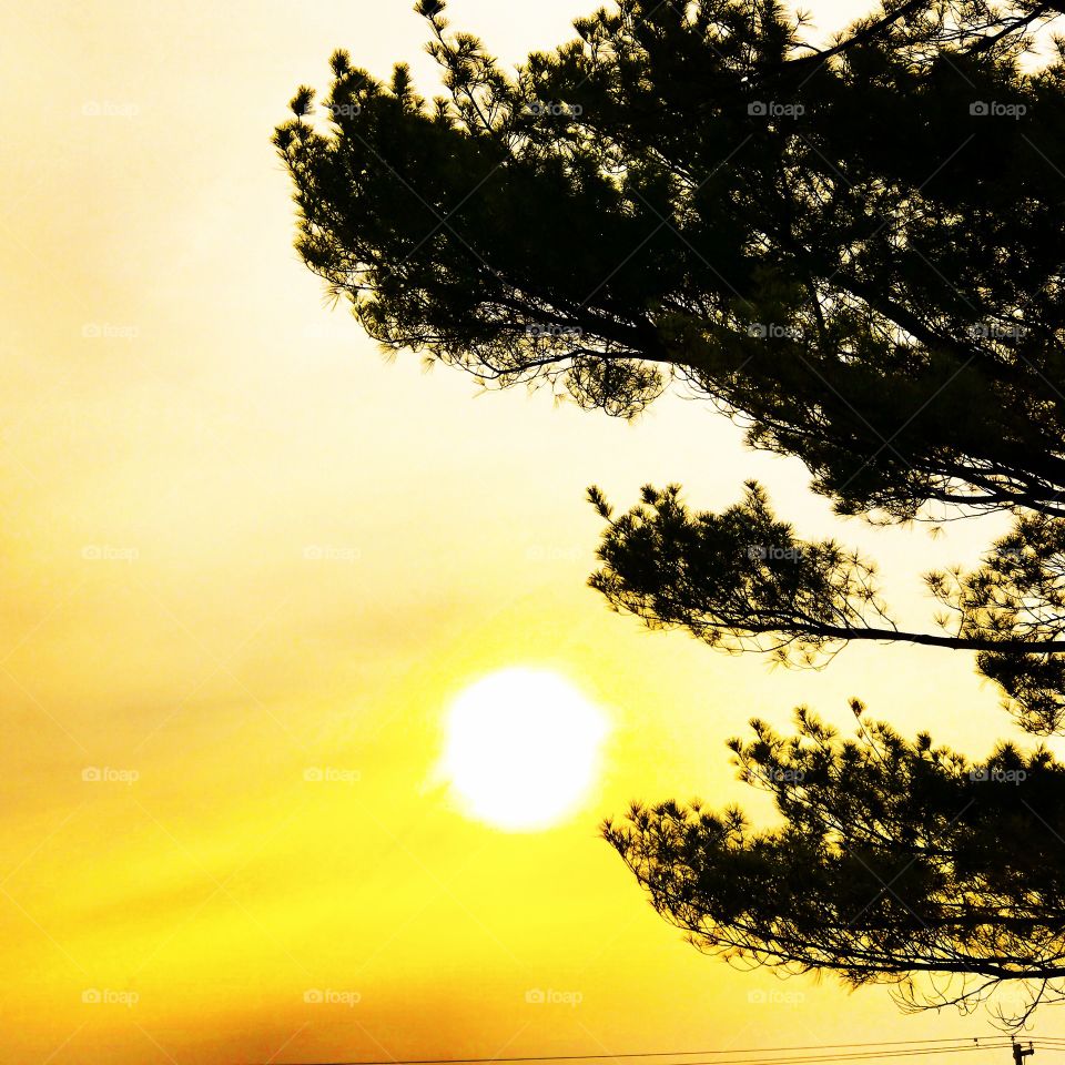 Beautiful sky and the sun in Indiana 