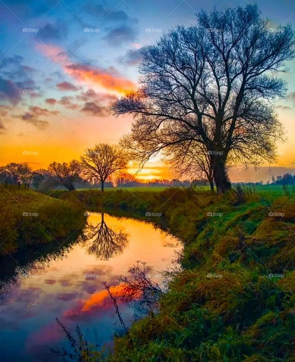 A very beautiful picture, and there is no better picture than it. There is no better picture of green herbs and colorful, red and white roses than it. Glory be to God, the natural and picturesque view, and there is no more