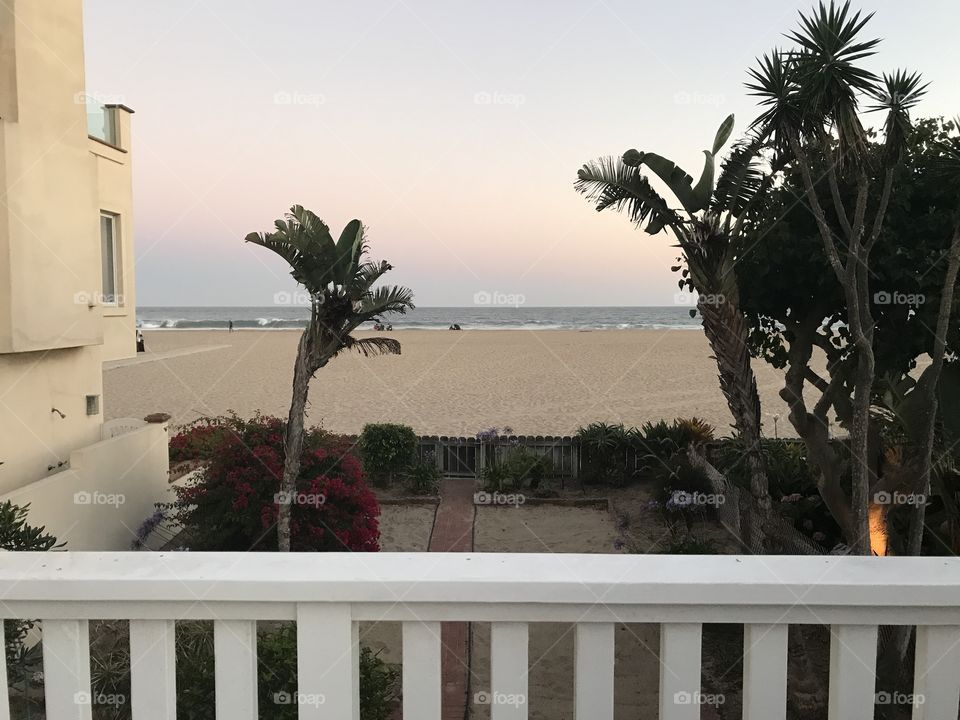 Beach, Tree, Seashore, Ocean, Sea