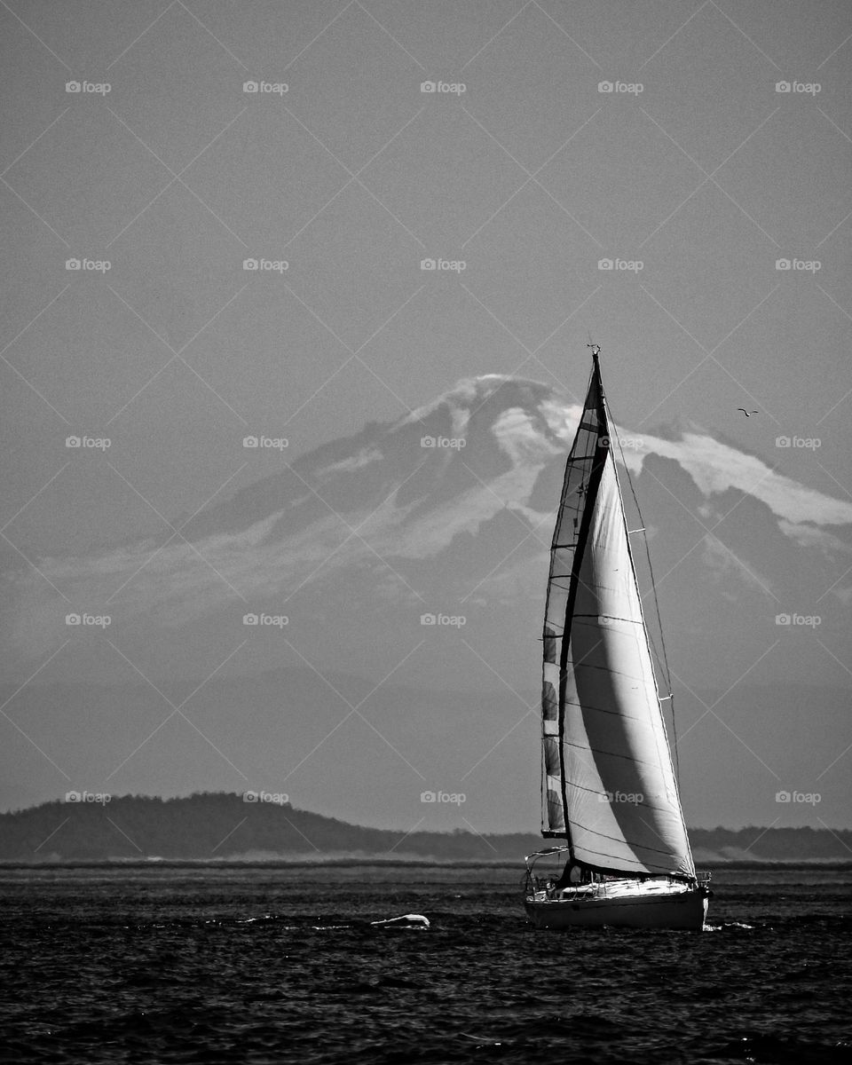 Sailing below Mt Cook