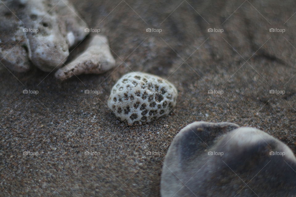 Beach gems