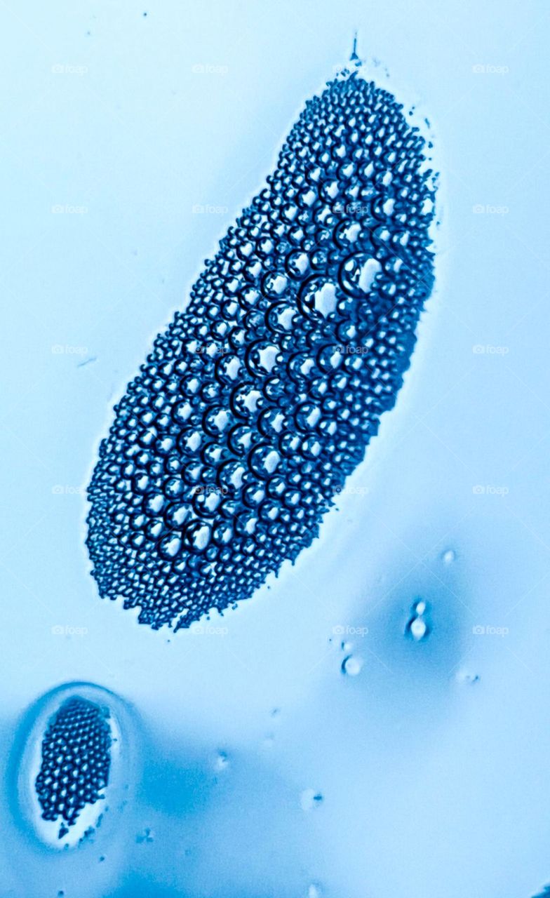 This image represents how fascinating some drops of water can be