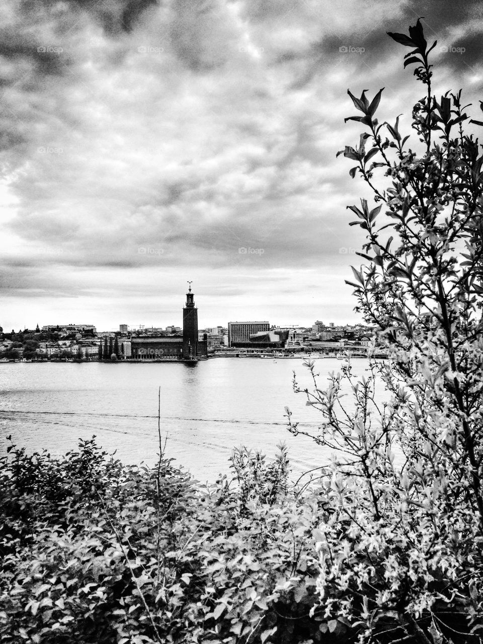 stockholm city hall in monochrome