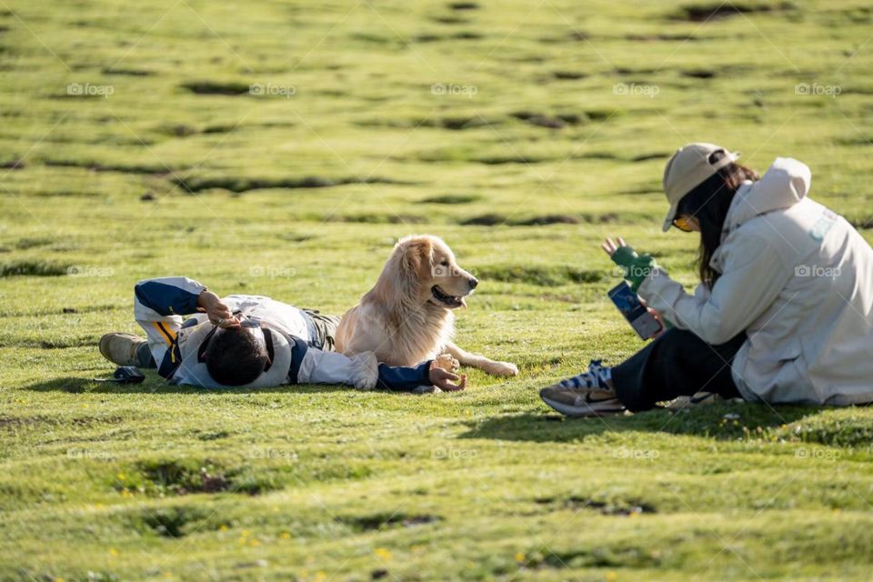 Relax with dog in the nature 