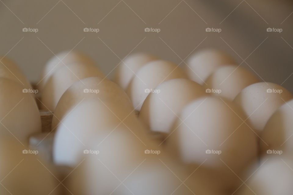 Egg for background