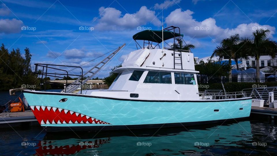 Shark boat