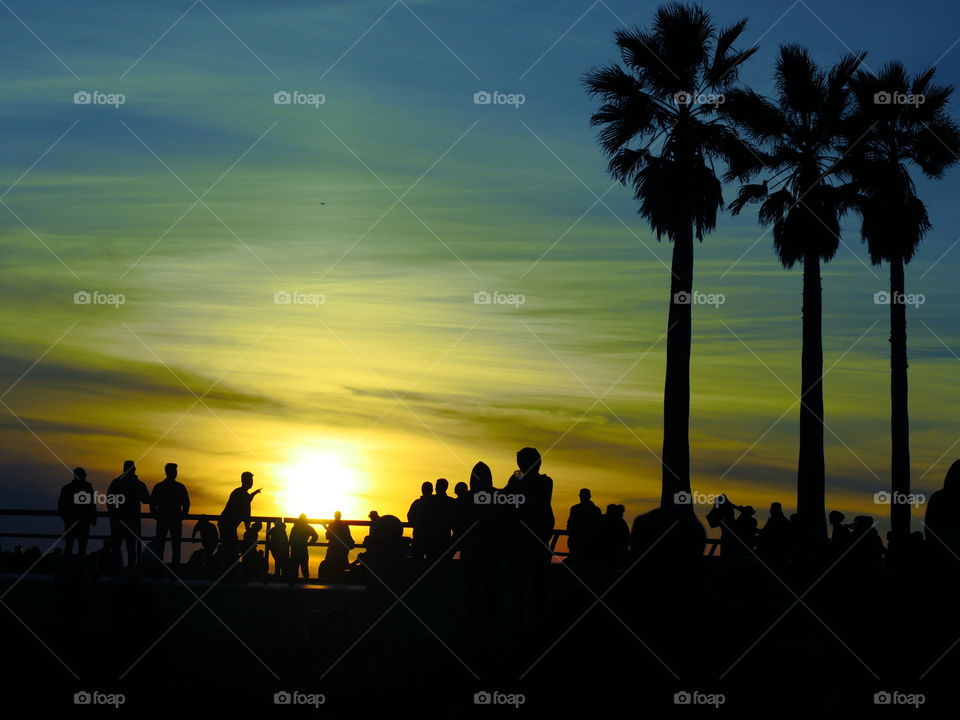 Skate Park Sunset