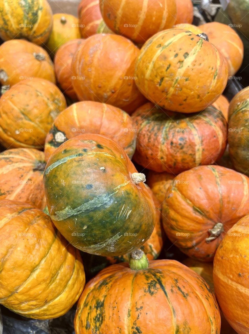 Orange pumpkins close up. Autumn. Halloween. Background