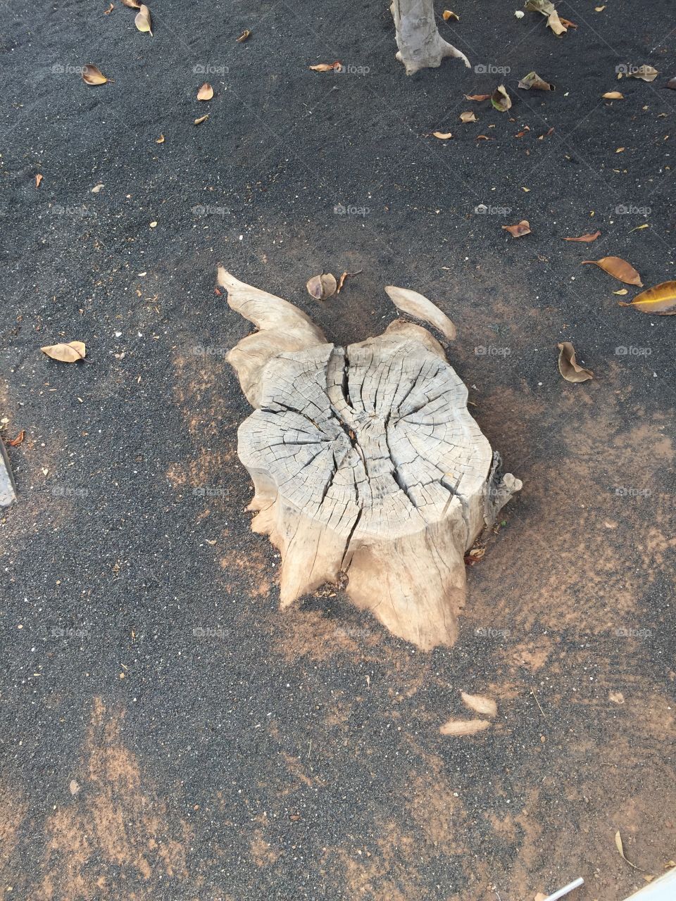 Ot año en Lanzarote 