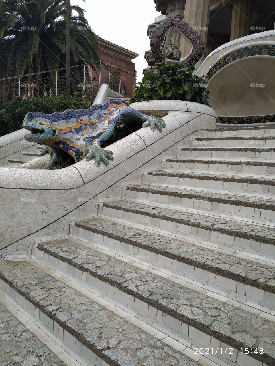 lateral de la Salamandra