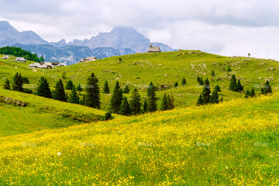 Early spring time on mountain 