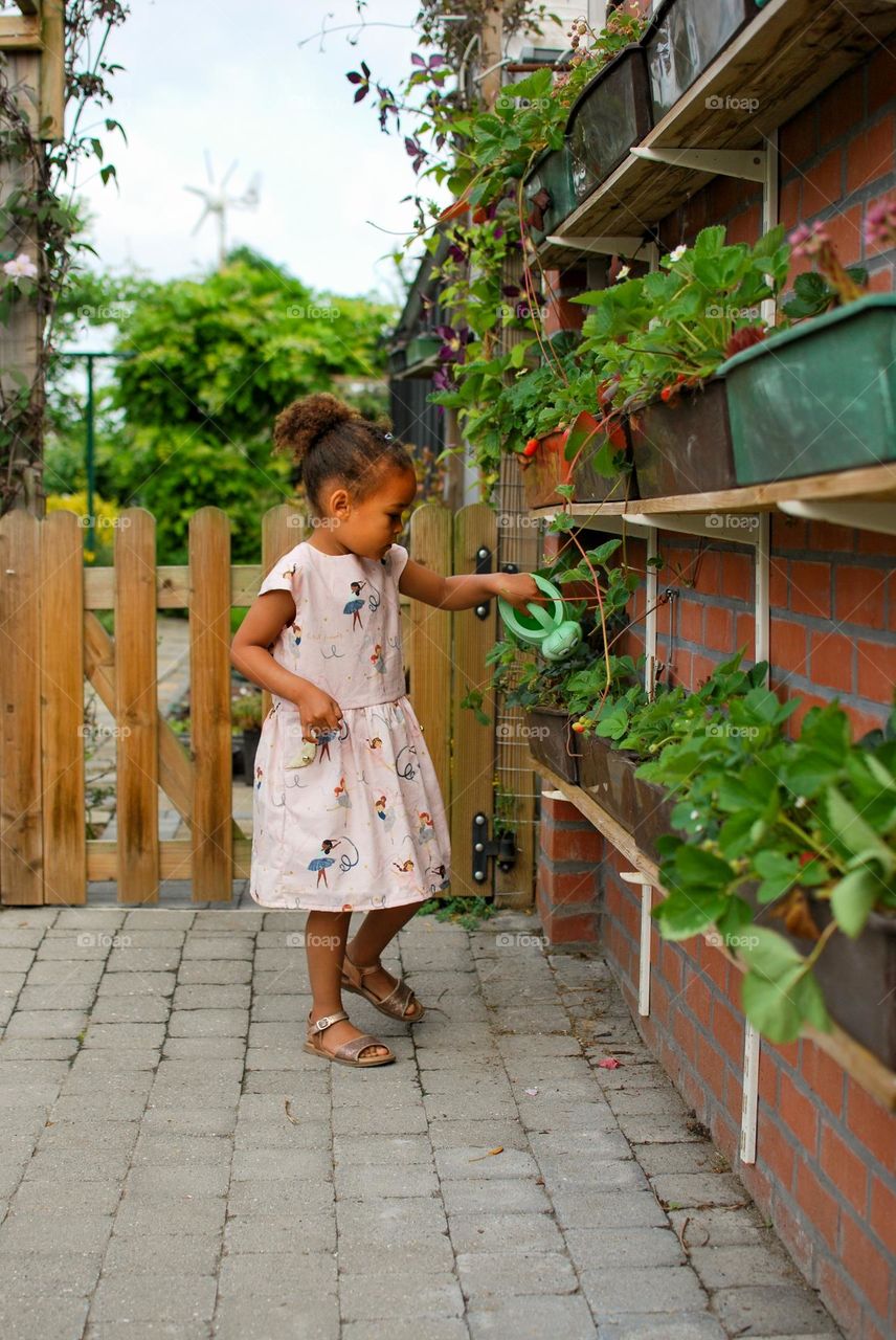 Watering the plants