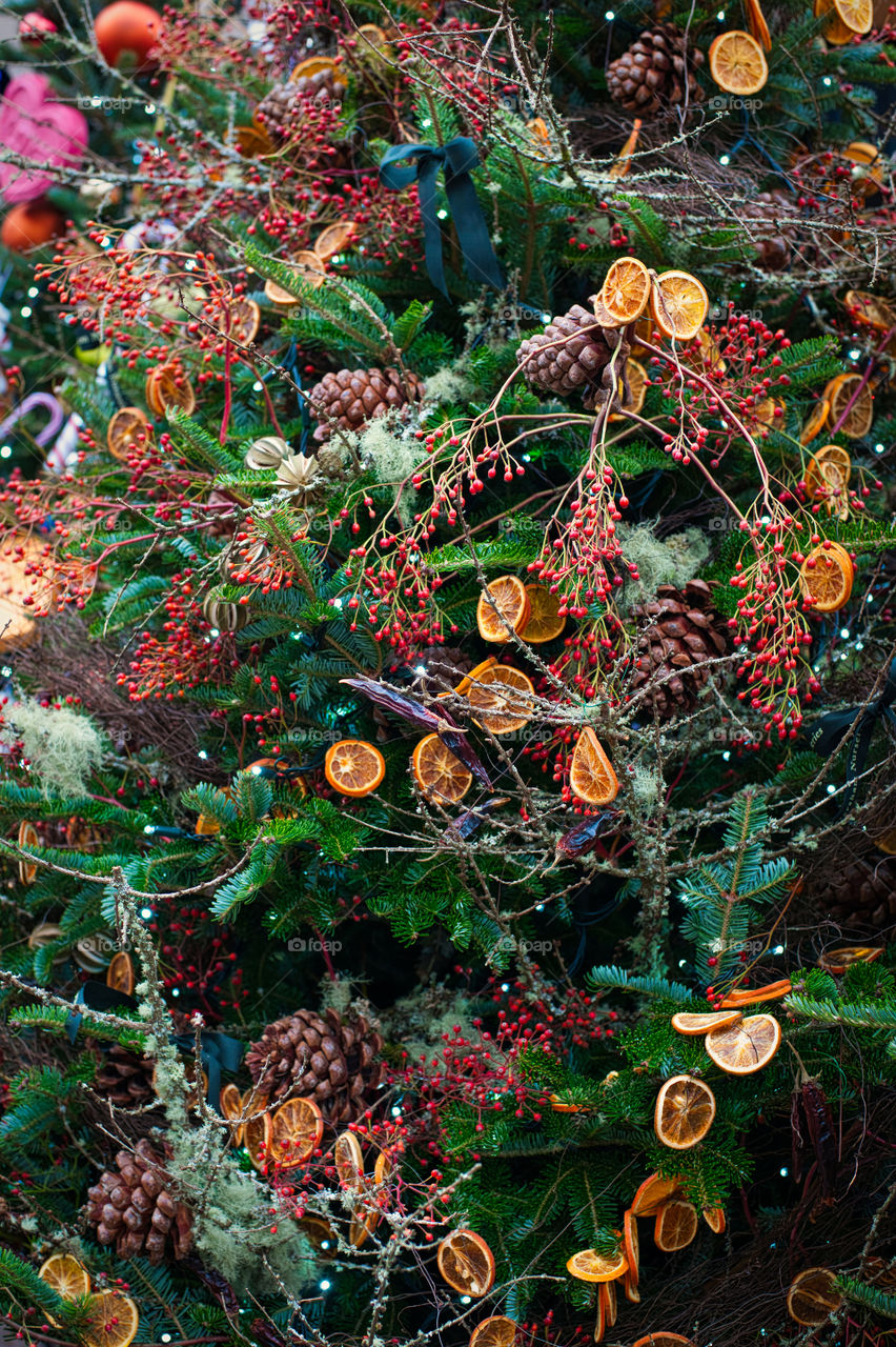 Organic Christmas tree decorations.