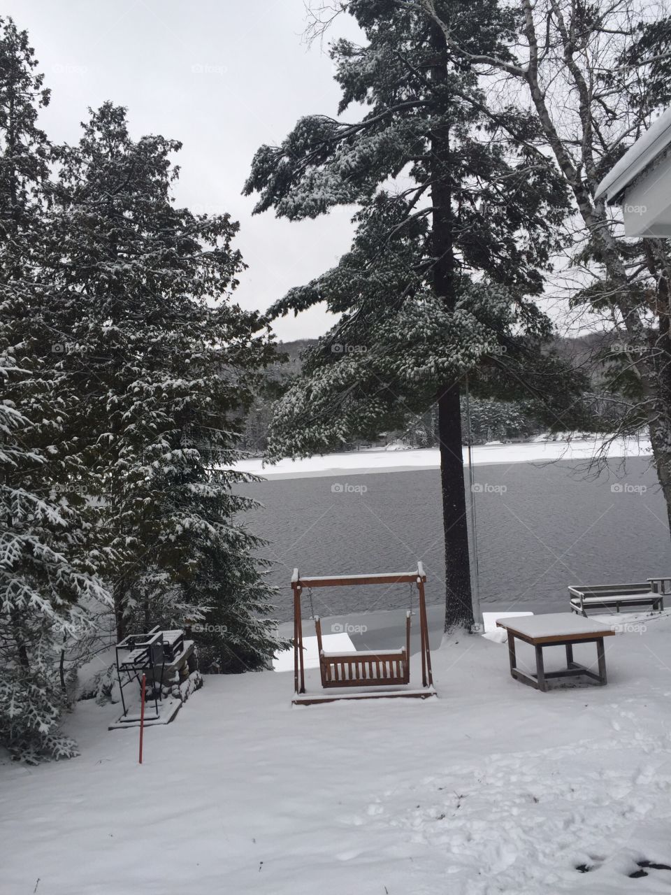 The yard and trees outside a cottage are covered in a blanket of snow. The lake is not yet frozen.