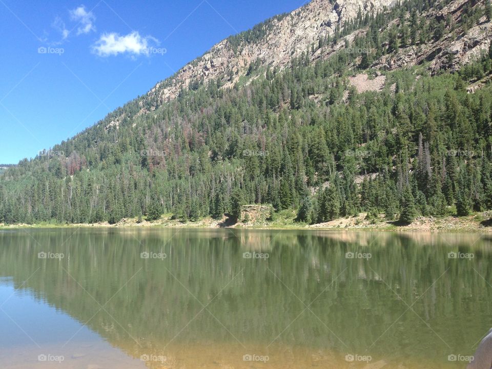 Lake reflection 