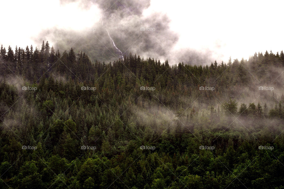 mountain tree cloud mist by refocusphoto