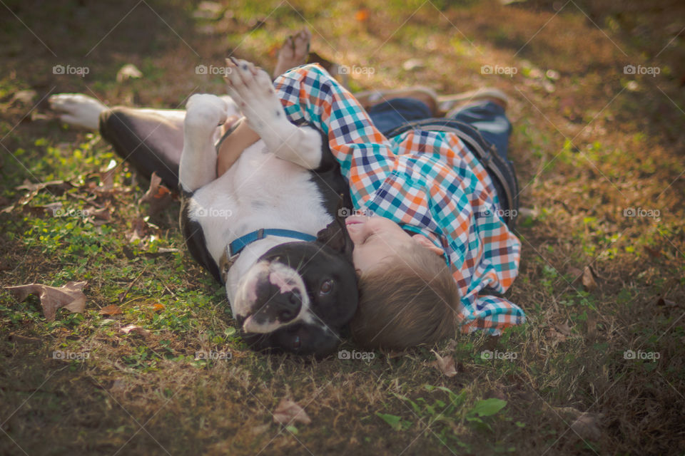 A Boy and His Dog Rolling on the Ground