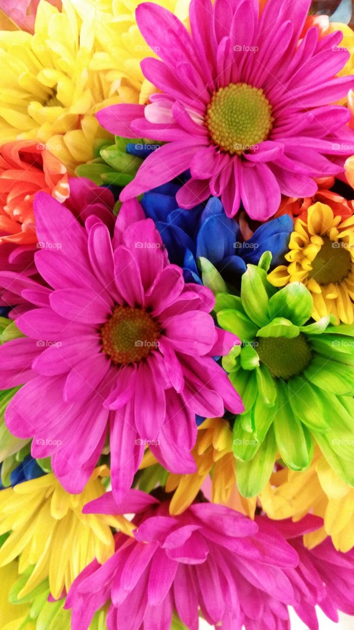 Vibrant neon spring bouquet of flowers