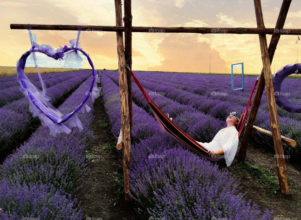 Summer sunset spirit on the fields of lavender