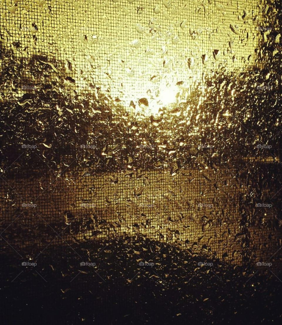 Rain against the window screen
