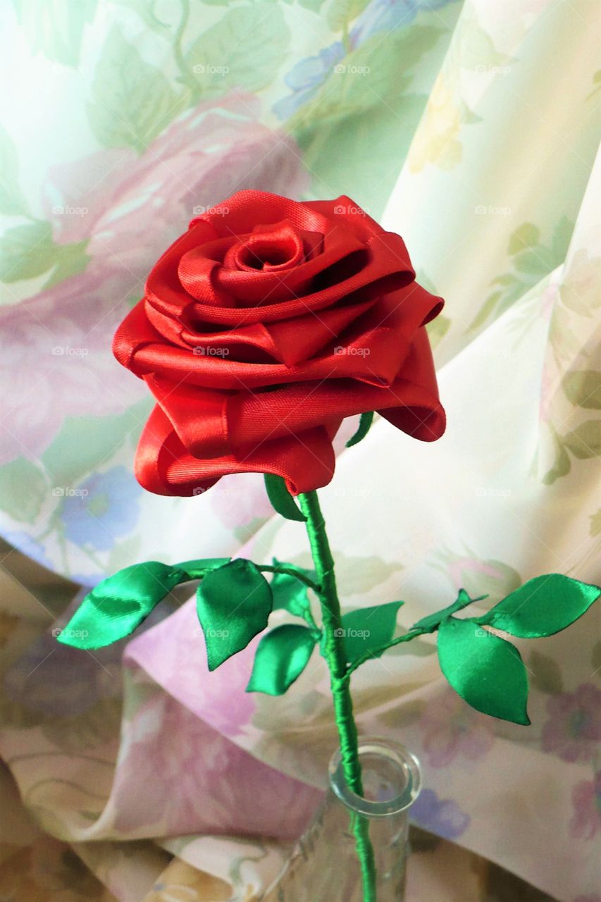Que rosa linda,  uma flor de beleza unica. sua cor e natural no amor e natureza