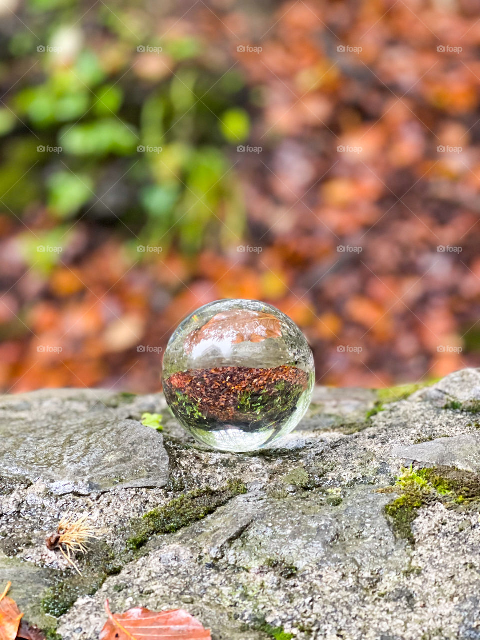Autumn scenery crystall ball on the ground with orange autumn leafs 