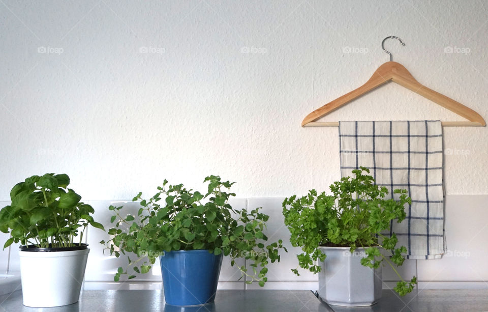 Plant pots against white background