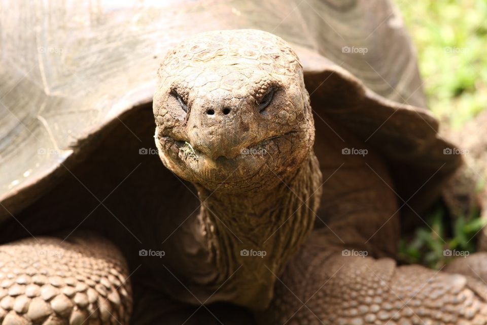 What are you looking at?