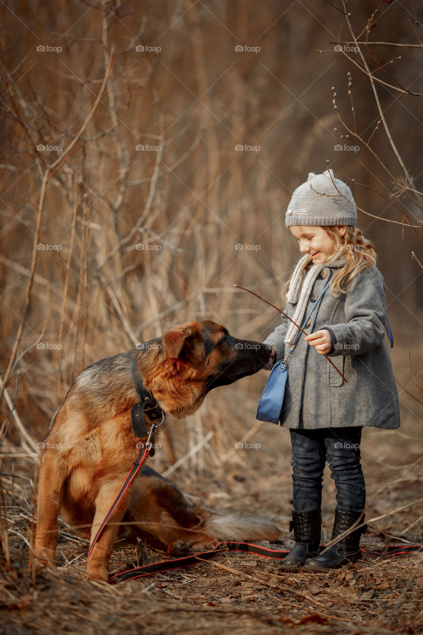 Little girl with German shepherd young male dog walking outdoor at spring day