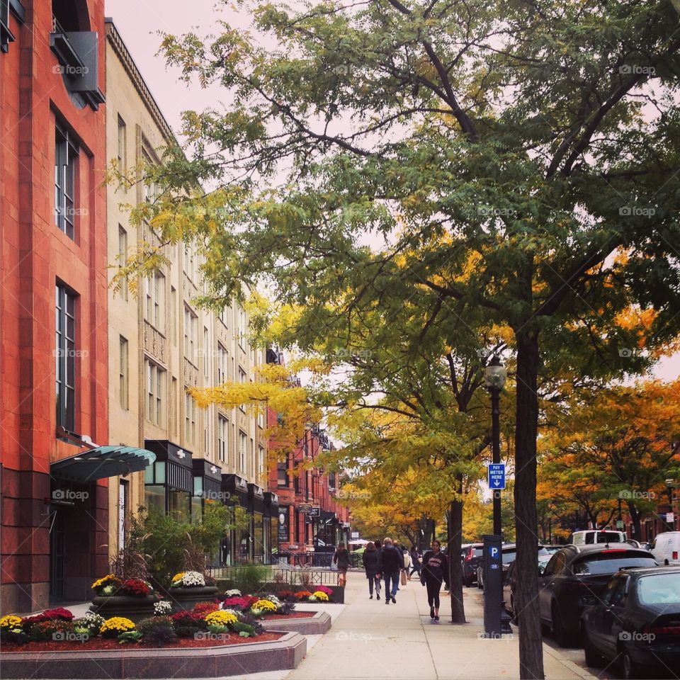 Newbury Street in October