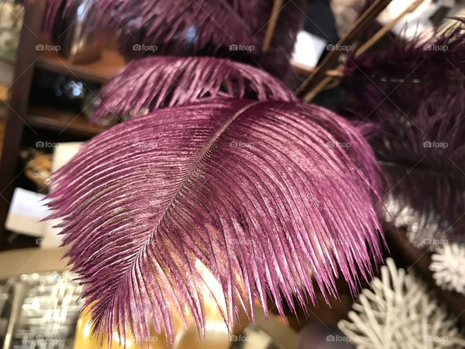 Home decor accents feather purple color 