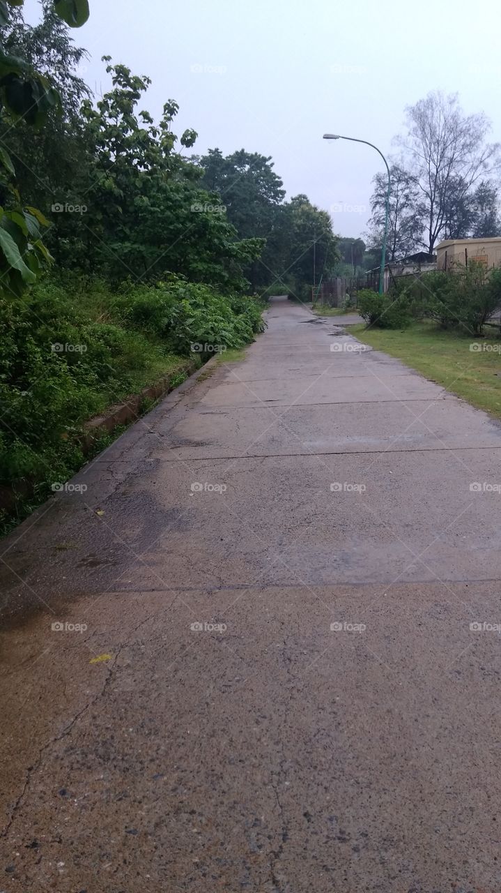 in rainy season