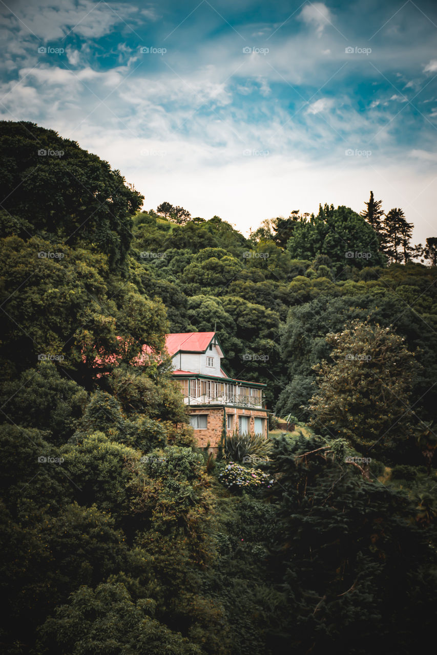 Villa Nougues 

Un maravilloso lugar 

Cálido 
Natural