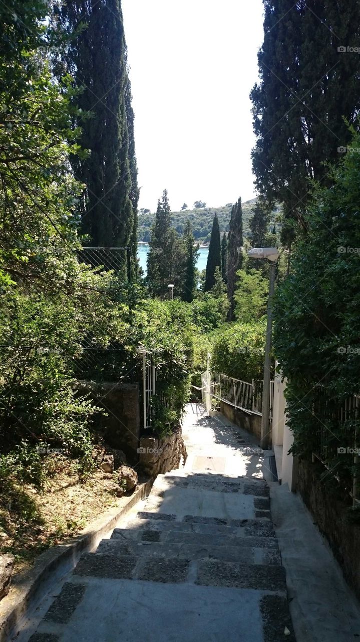 A narrow path in Mlini, Croatia