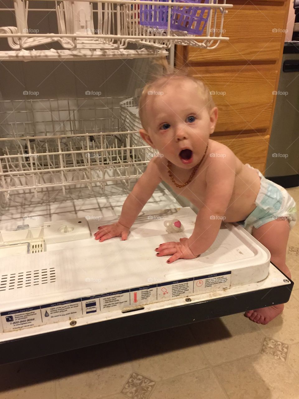 oh... “im not playing in the dishwasher “
