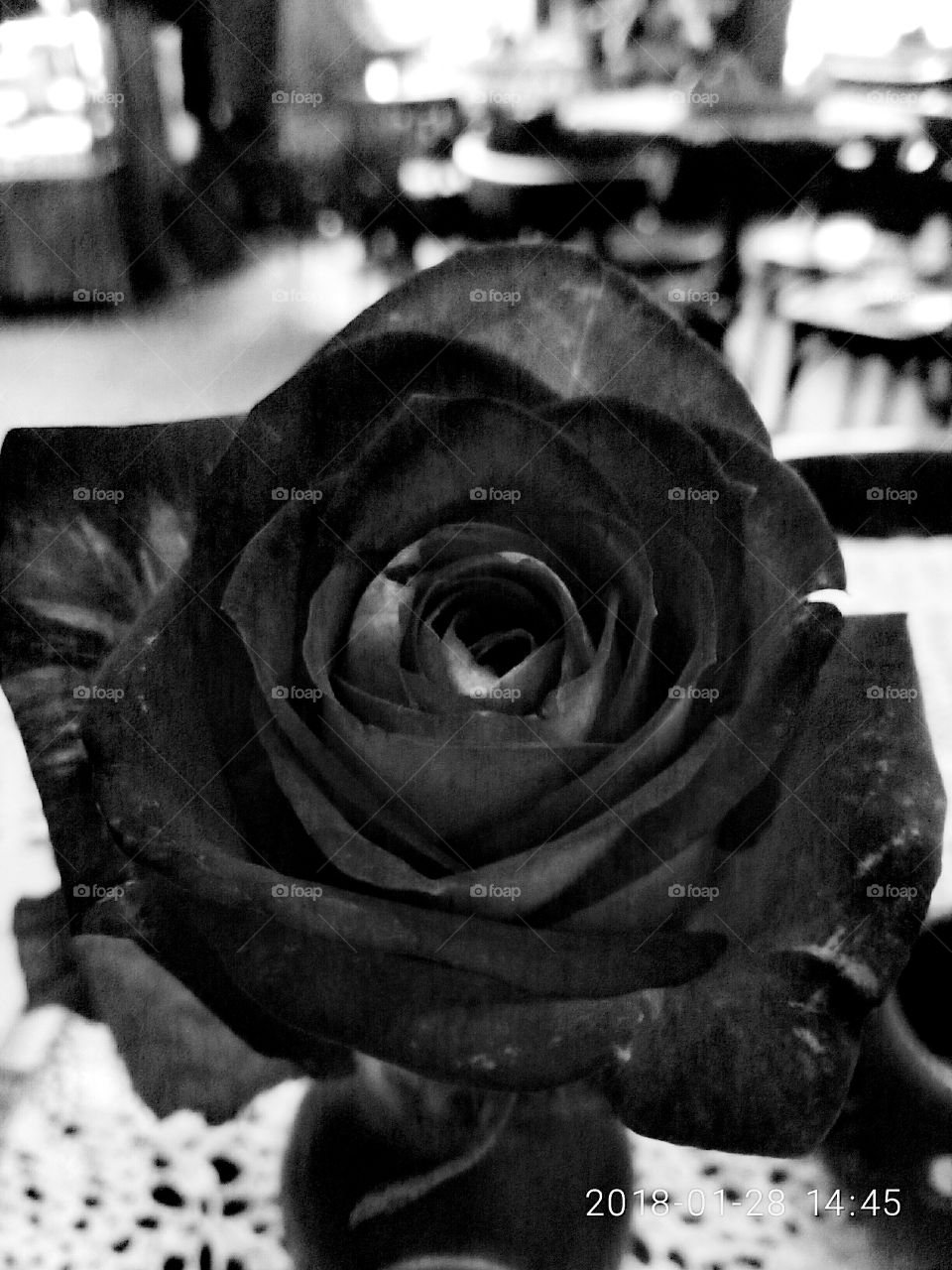 People, Monochrome, One, Man, No Person