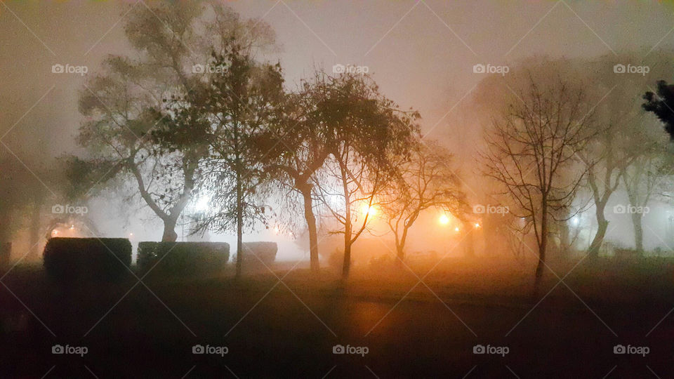Foggy night in Sofia
