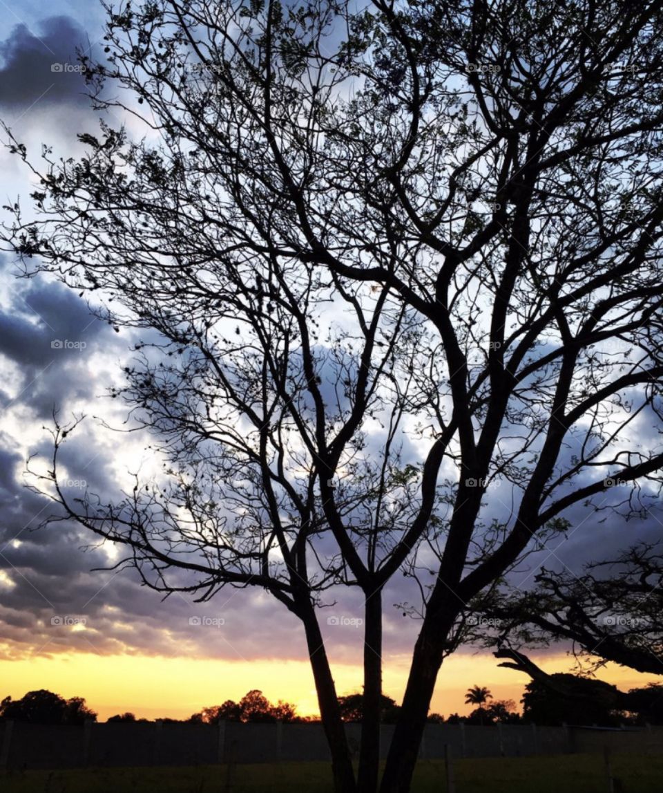 🌄🇺🇸 An extremely beautiful dawn in Bragança Paulista, interior of Brazil. Cheer the nature! / 🇧🇷 Um amanhecer extremamente bonito em Bragança Paulista, interior do Brasil. Viva a natureza! 