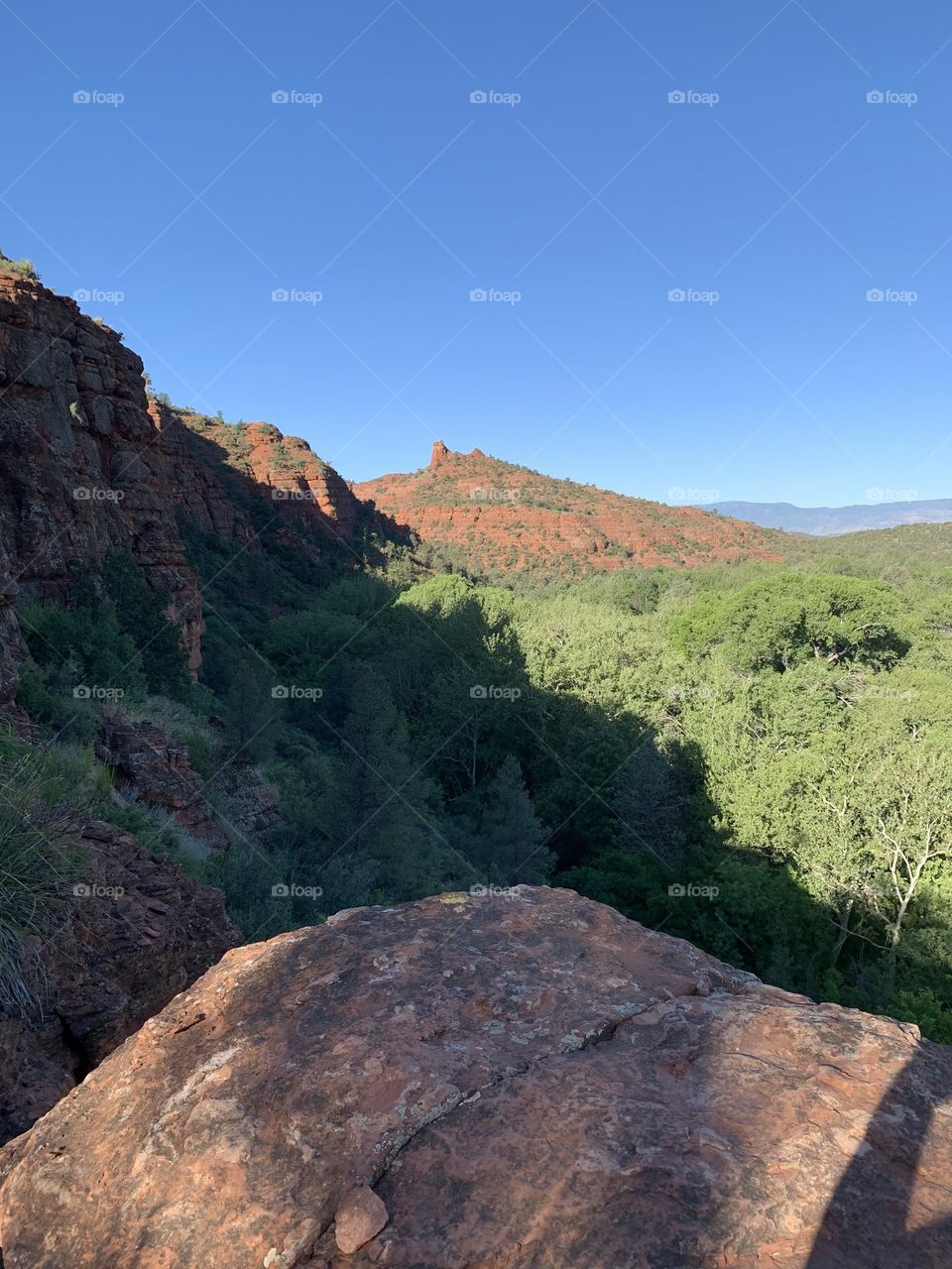 Climbing mountain and engage with then!!! Peace will flood into sun into the trees.