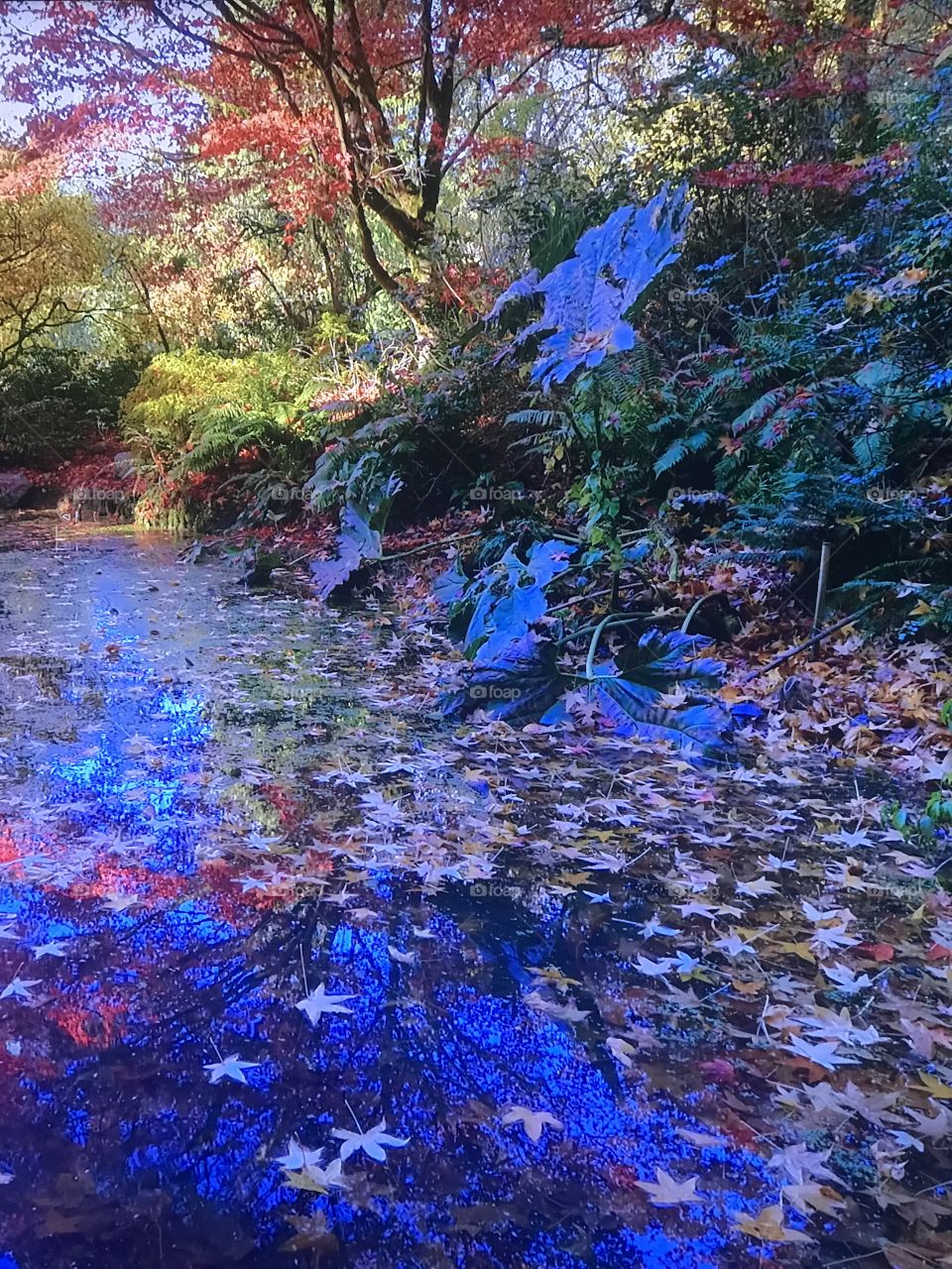 Washington park of love