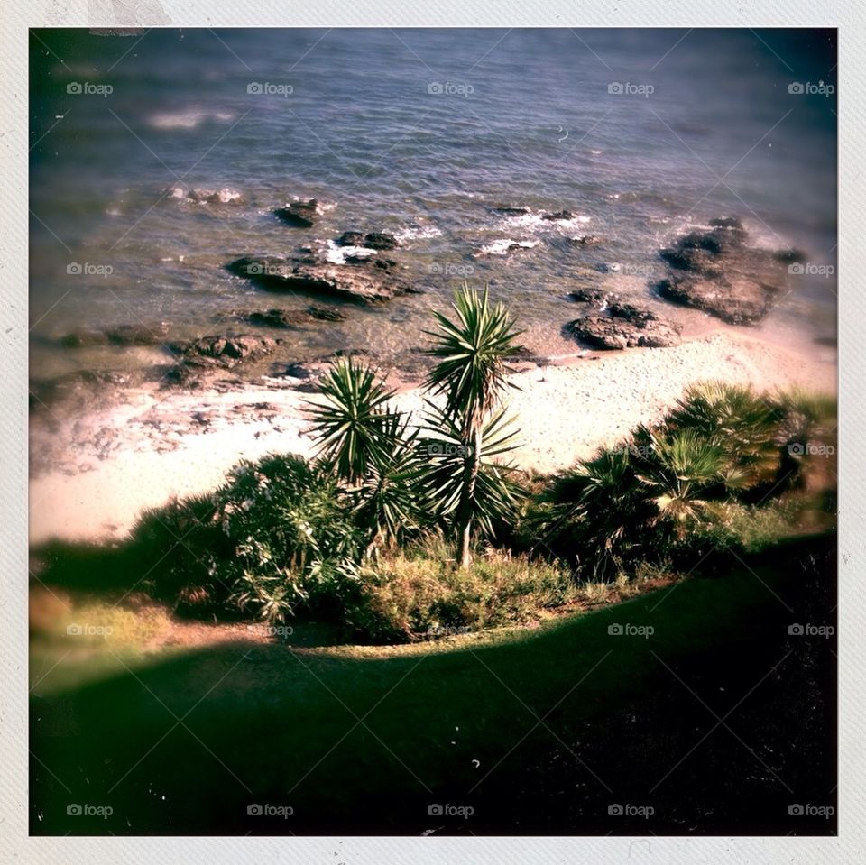 beach sea palmtrees sunny shore by eeefje