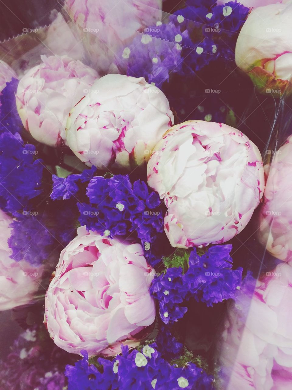 Peonies at the market