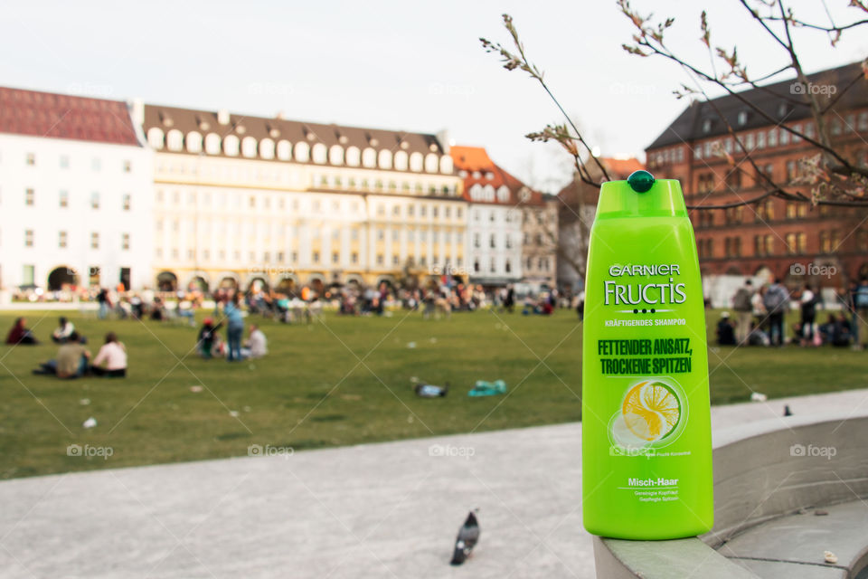 Munich and Garnier 