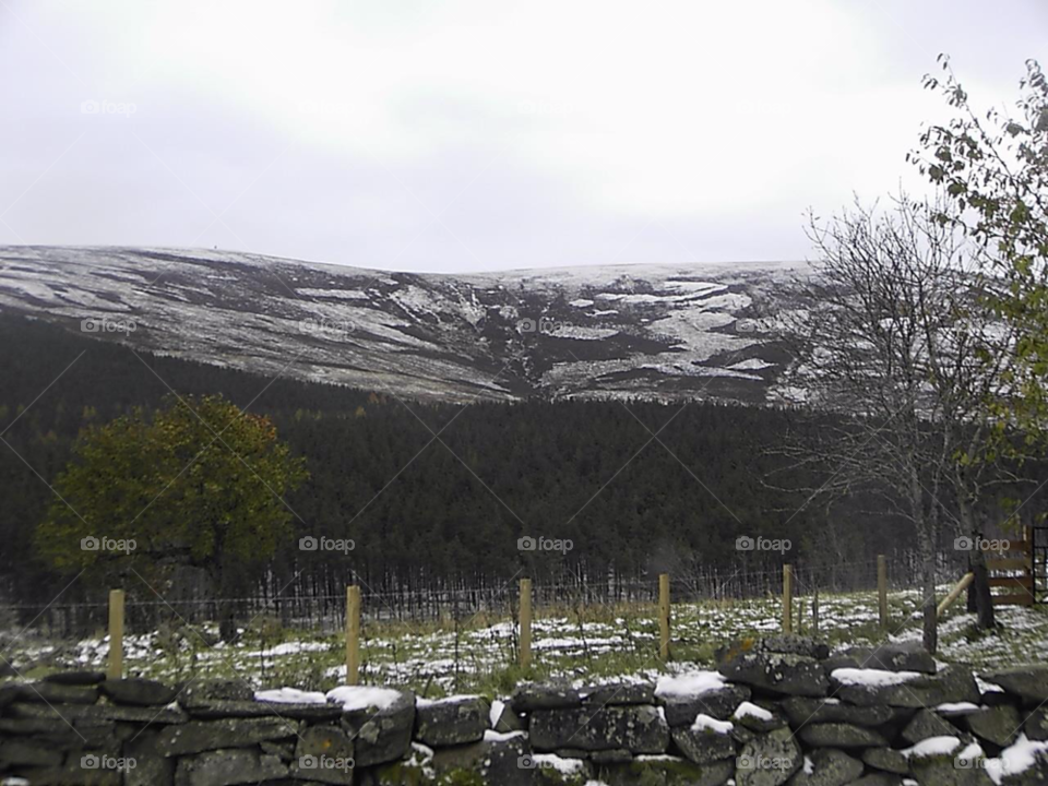 winter landscape scotland snowy by Forest1213
