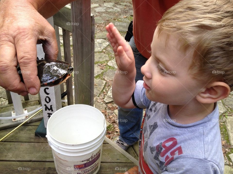 Meeting tommy the turtle 