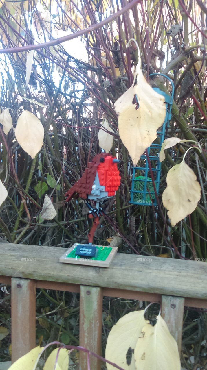 Lego robin